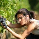 Investir dans un domaine viticole